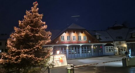 Weihnachtsbaum der Feuerwehr Mondsee. Steht bei der Einfahrt zum Feuerwehr Gelände. Der Baum ist beleuchtet.