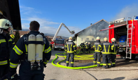 mehrere Feuerwehrleute bei den Löscharbeiten